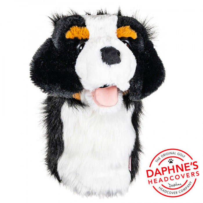 Daphne's Golf Headcover - Burmese Mountain Dog