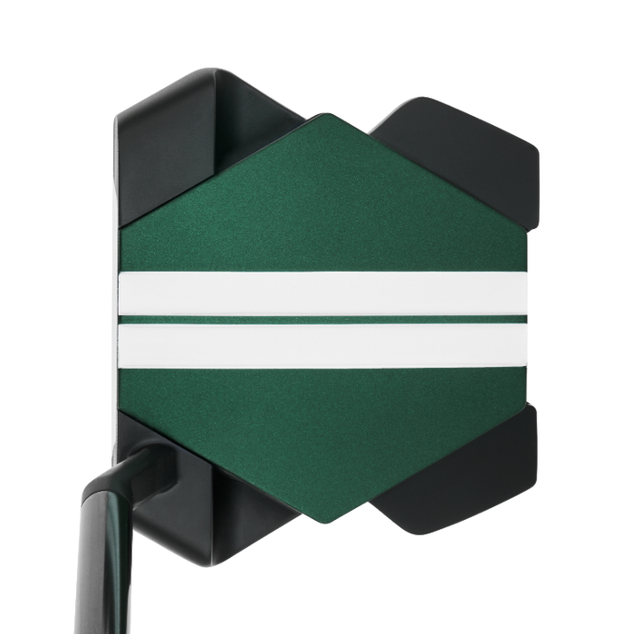 view at address of the Odyssey Turtle Slant Neck Golf Putter