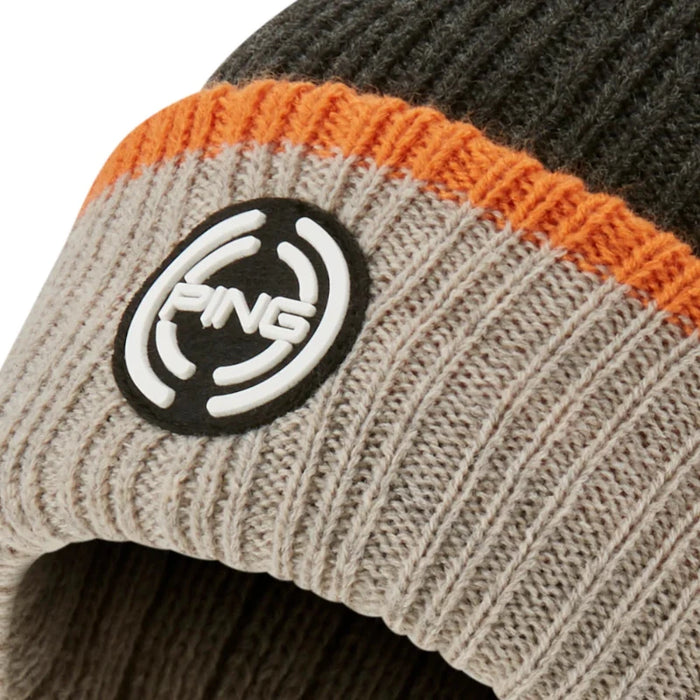 Ping Bassett Beanie - Dark Mushroom Multi